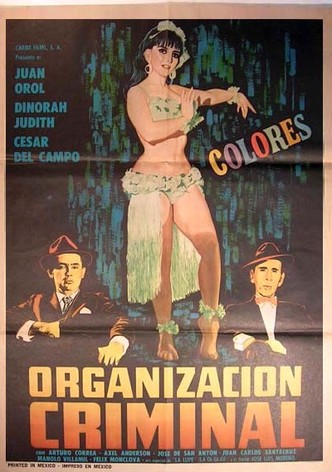 Organización criminal