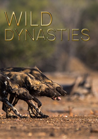 Wild Dynasties