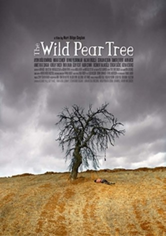 Making of the Wild Pear Tree
