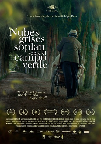 Nubes grises soplan sobre el campo verde