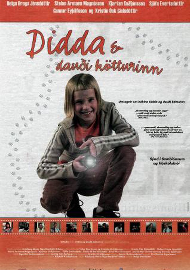 Didda and the Dead Cat