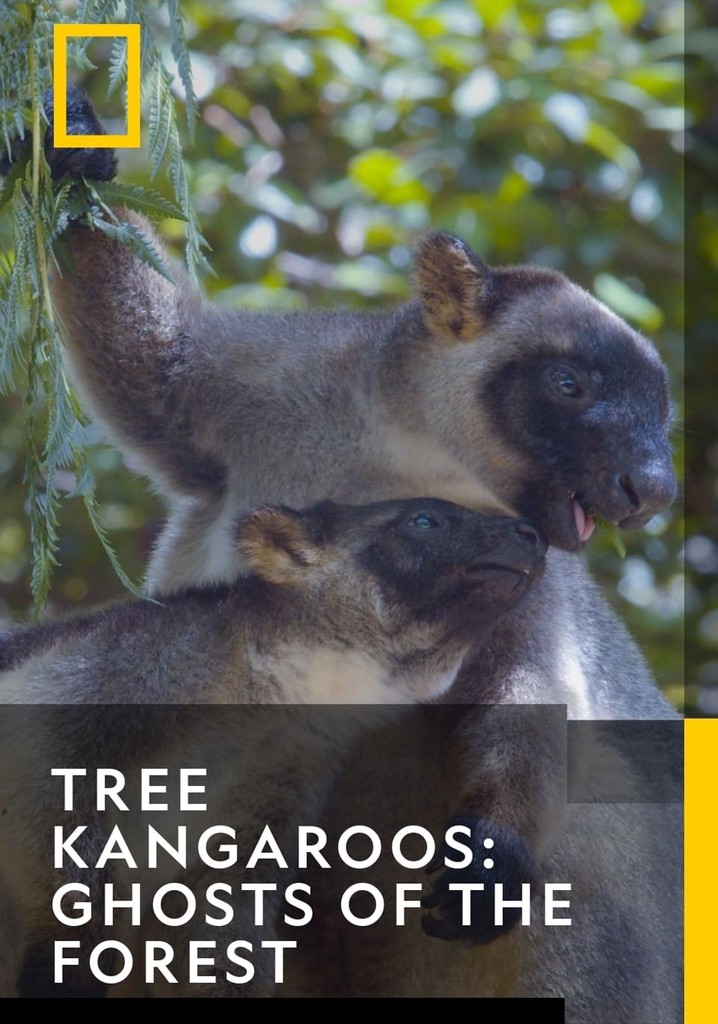 Ghosts of the Forest