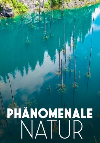 Merveilles de la nature