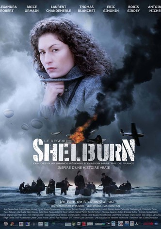 Le réseau Shelburn