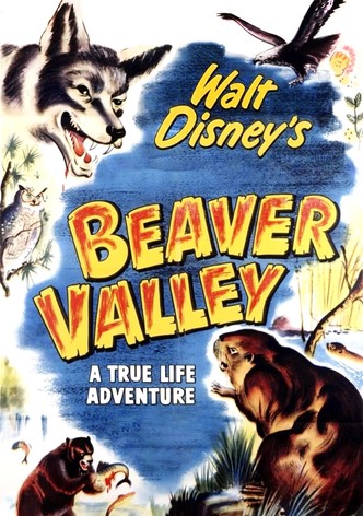 Beaver Valley