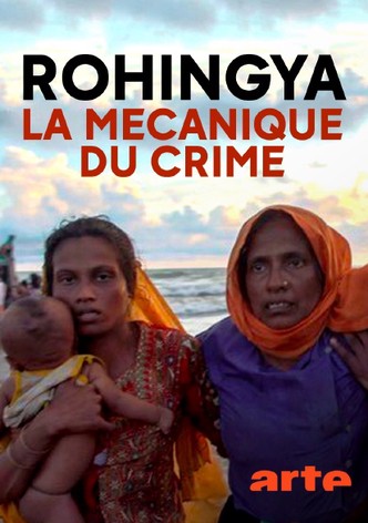 Birma und die Rohingya - Mord nach Plan