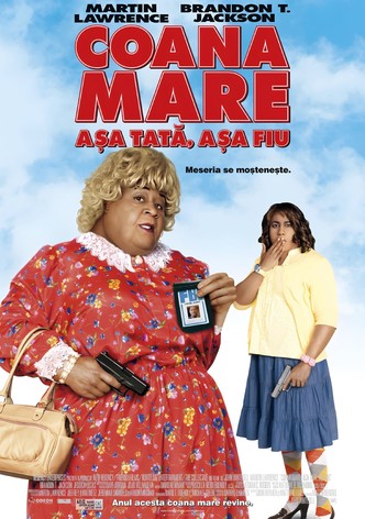 Coana Mare: Așa tată, așa fiu