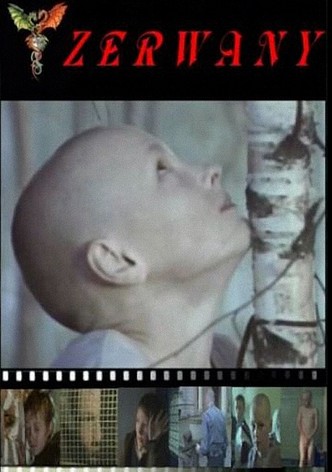 Torn