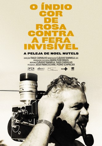 O Índio Cor de Rosa Contra a Fera Invisível
