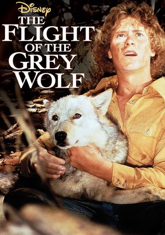 The Flight of the Grey Wolf