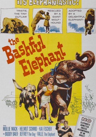 The Bashful Elephant