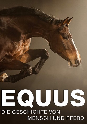 Equus: Story of the Horse