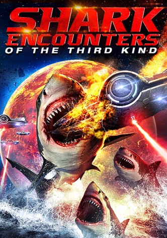 Shark Encounters Of The Third Kind
