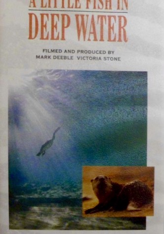 A Little Fish in Deep Water