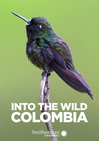 Into the Wild: Colombia