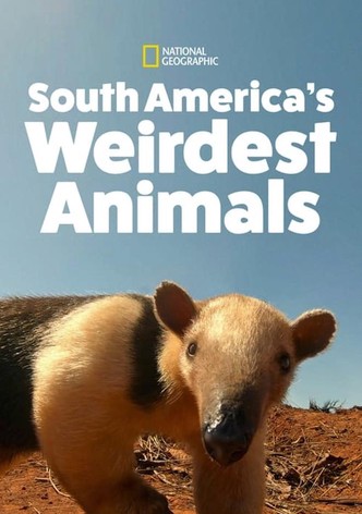 South America's Weirdest Animals