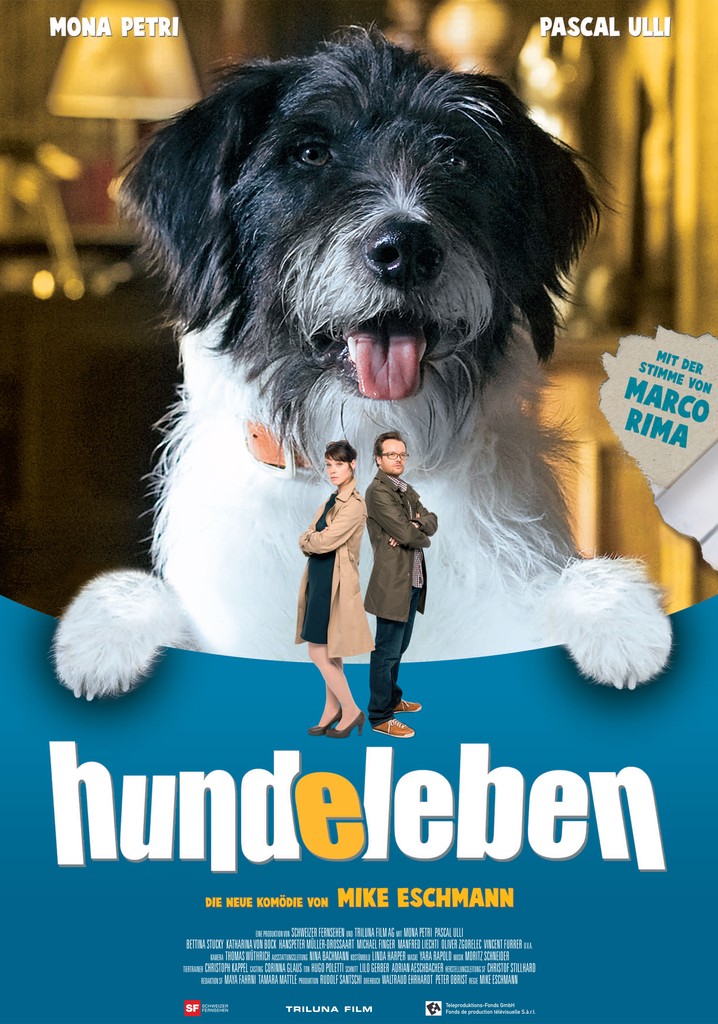 Hundeleben