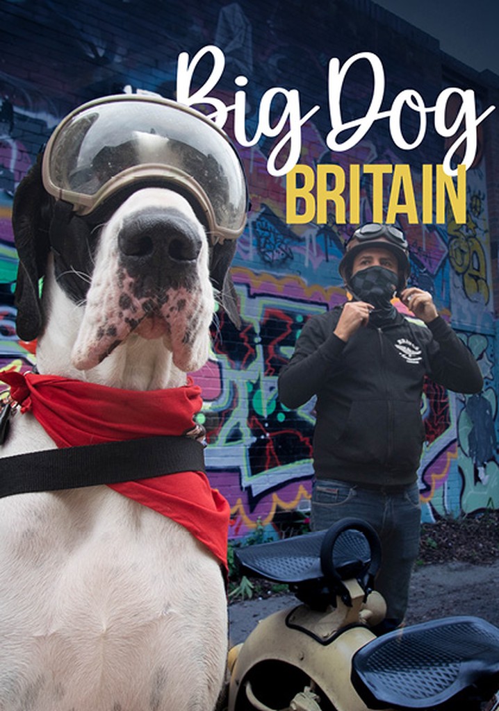 Big Dog Britain
