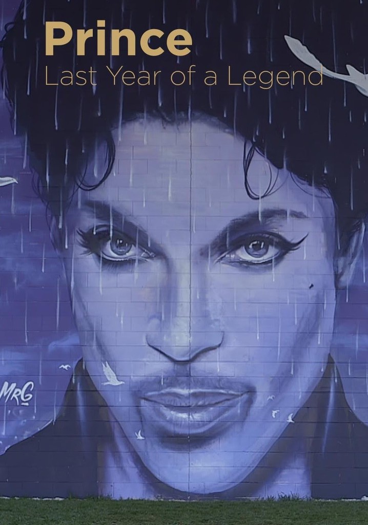 Prince: Last Year of a Legend