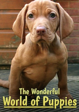 The Wonderful World of Puppies