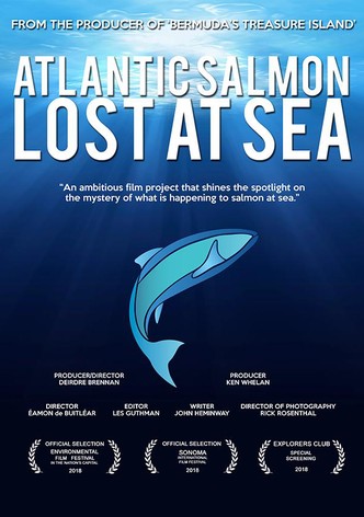 Atlantic Salmon: Lost at Sea