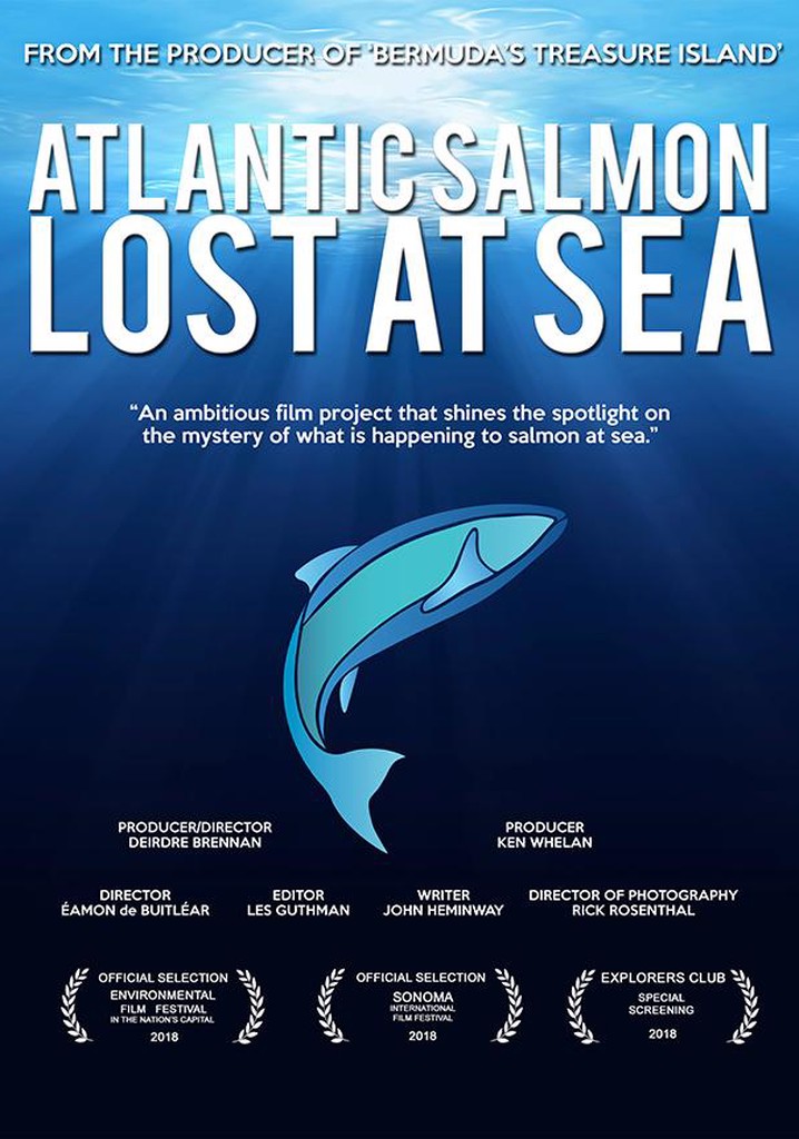 Atlantic Salmon: Lost at Sea
