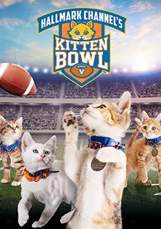 Kitten Bowl V