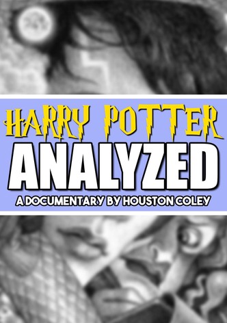 The Harry Potter Saga Analyzed