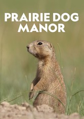Prairie Dog Manor