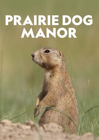 Prairie Dog Manor