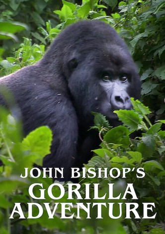 John Bishop's Gorilla Adventure