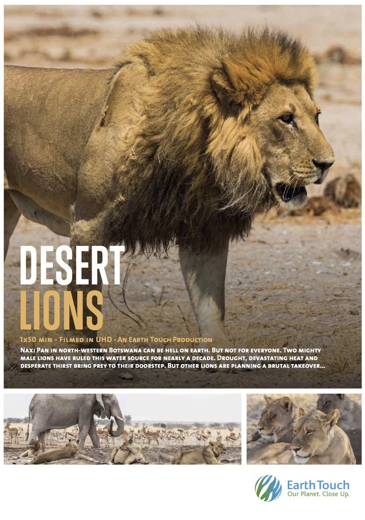 Desert Lions