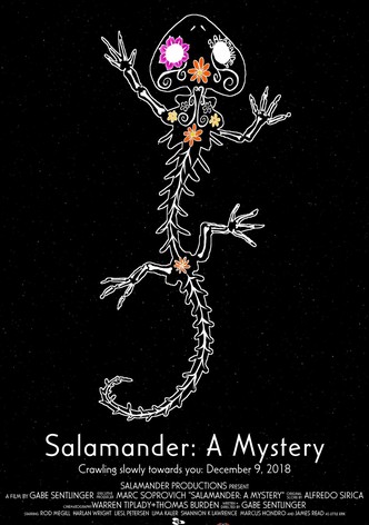 Salamander: A Mystery