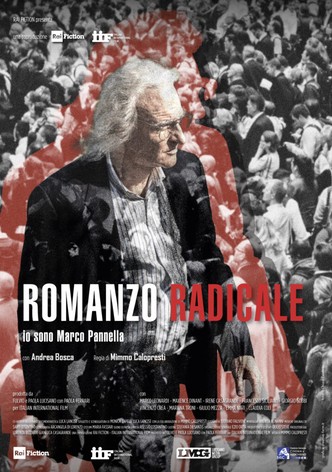 Romanzo Radicale