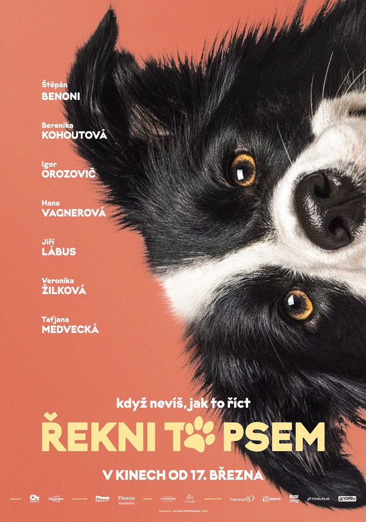 Say It Through the Dog