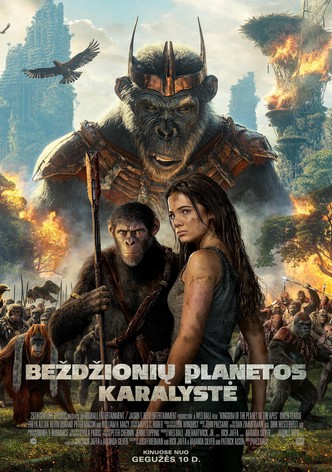 Beždžionių planetos karalystė