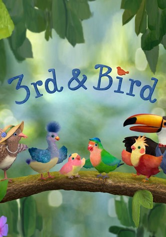 3rd & Bird
