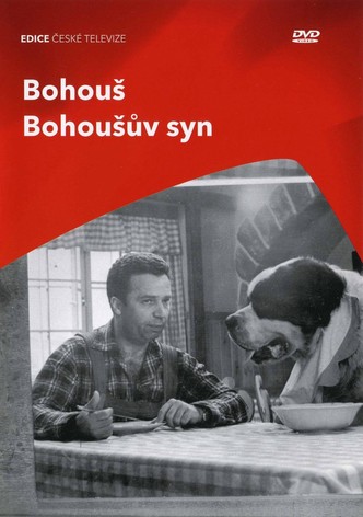 Bohousuv syn