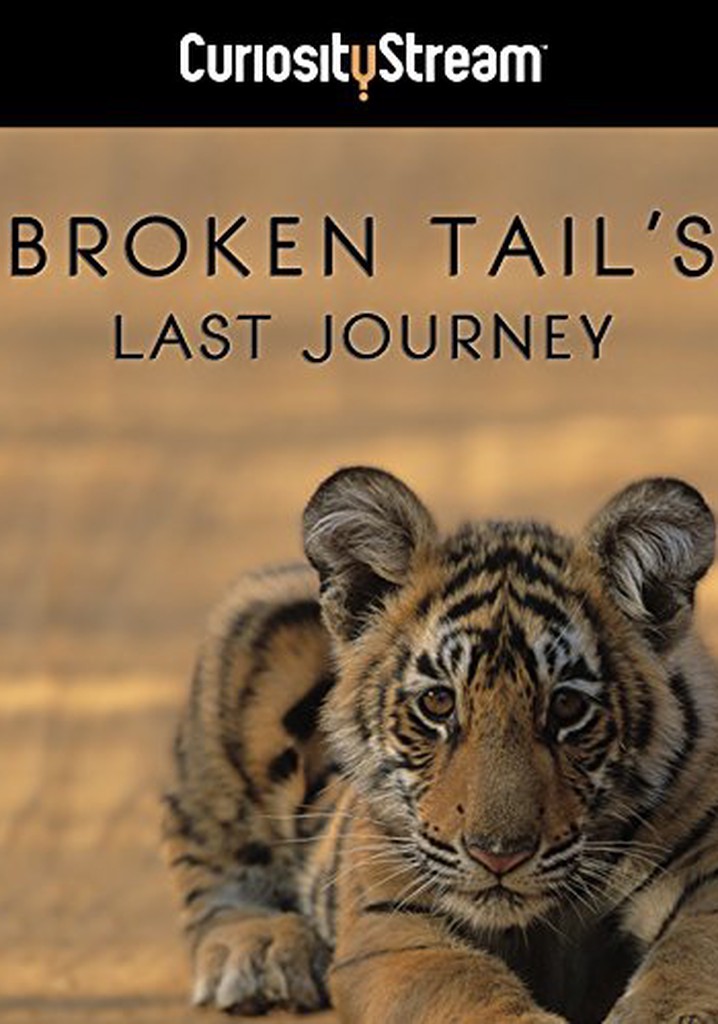 Broken Tail