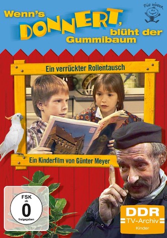 Wenn's donnert, blüht der Gummibaum
