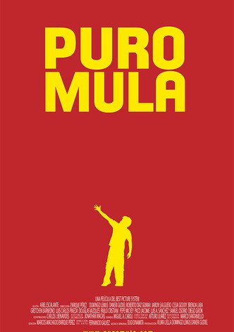 Puro Mula
