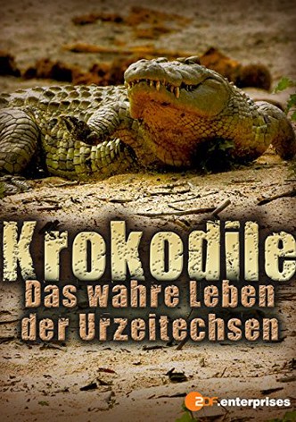 Krokodile - Das wahre Leben der Urzeitechsen