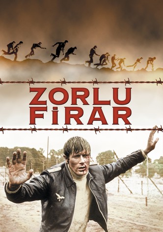 Zorlu Firar