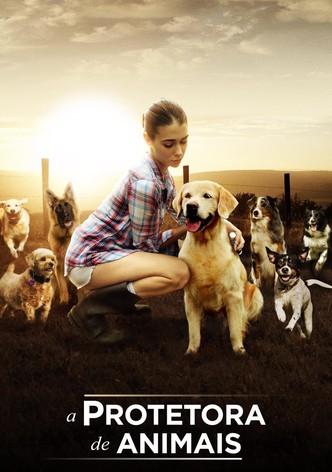 A Protetora de Animais