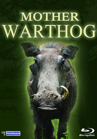 Mother Warthog
