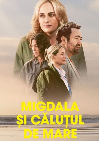 Migdala și căluțul de mare