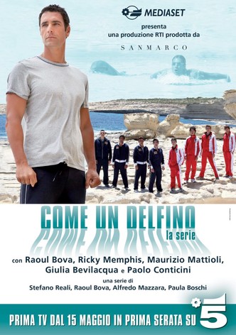 Come un delfino 2