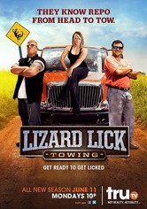 Lizard Lick Towing