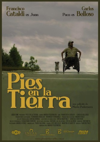 Pies en la tierra