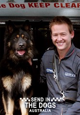 Send in the Dogs Australia